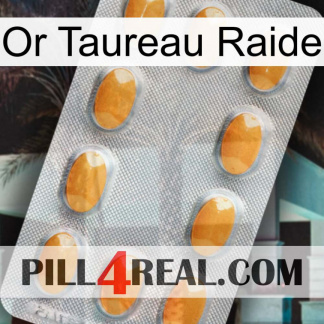Stiff Bull Gold cialis3